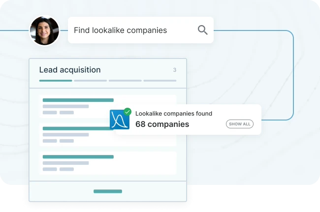 Find lookalike companies flowchart