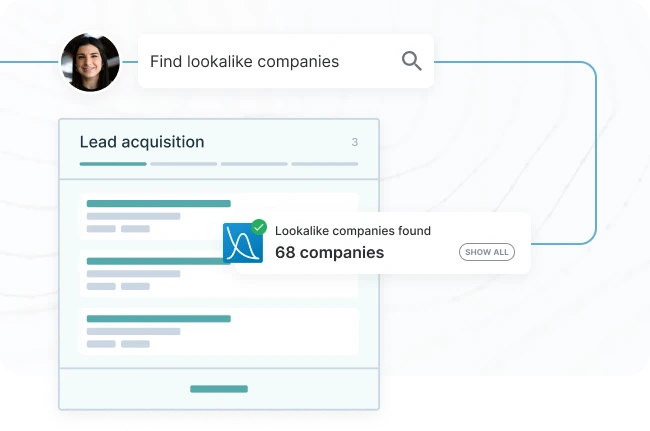 Find lookalike companies flowchart