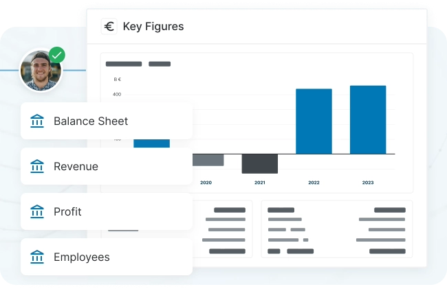 Implisense Search company key figures